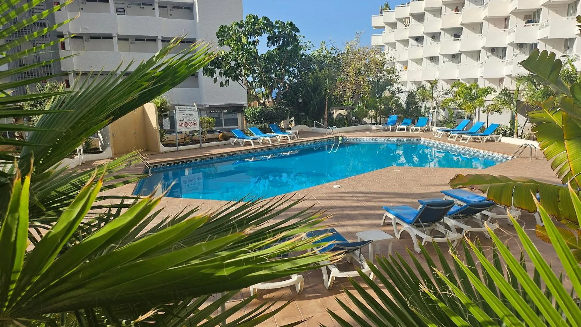 Sole Luna Apartment Playa De Las Americas Costa Adeje  Spain