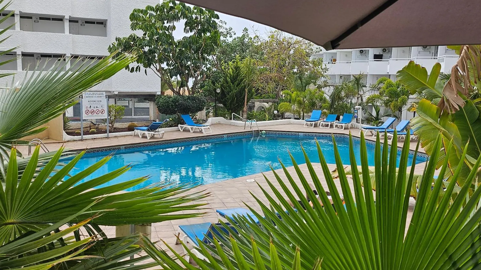 Sole Luna Apartment Playa De Las Americas Costa Adeje   Costa Adeje (Tenerife)